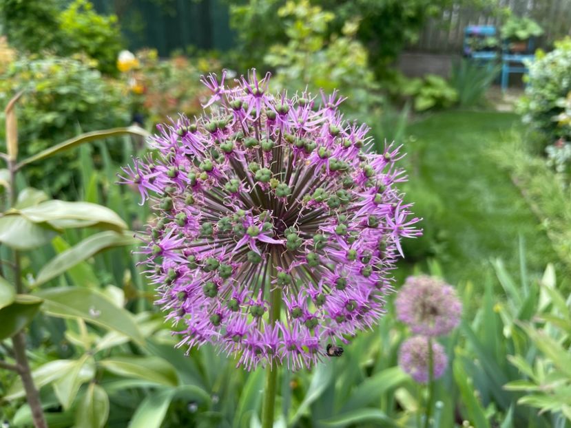 8536AE75-7391-4A4B-937A-BA4F7C2C418A - 01 Primăvara 2023