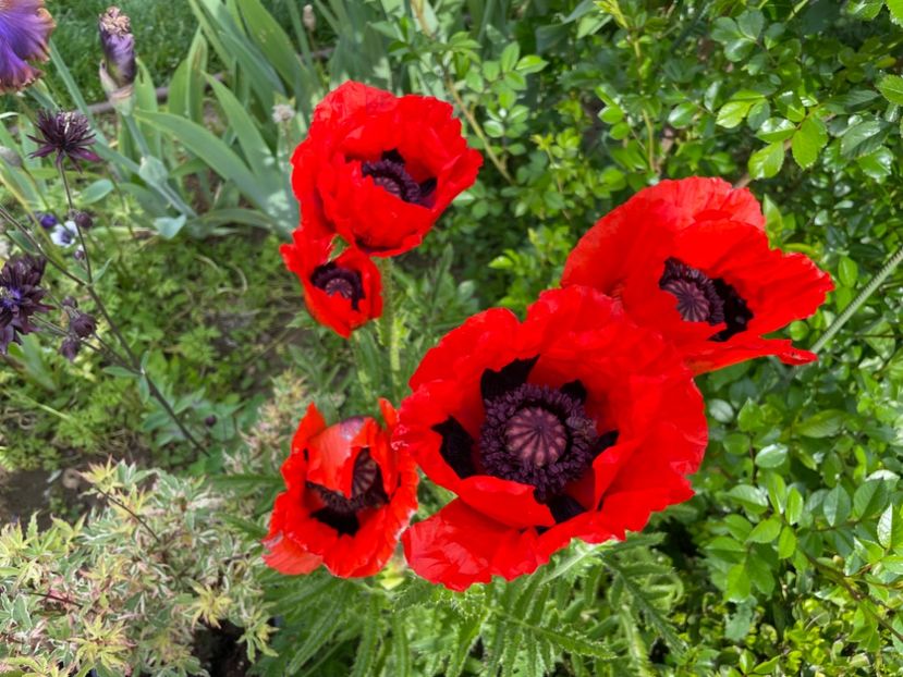 4FA7FA4D-7FED-421E-84F0-9C878FADD240 - 01 Primăvara 2023