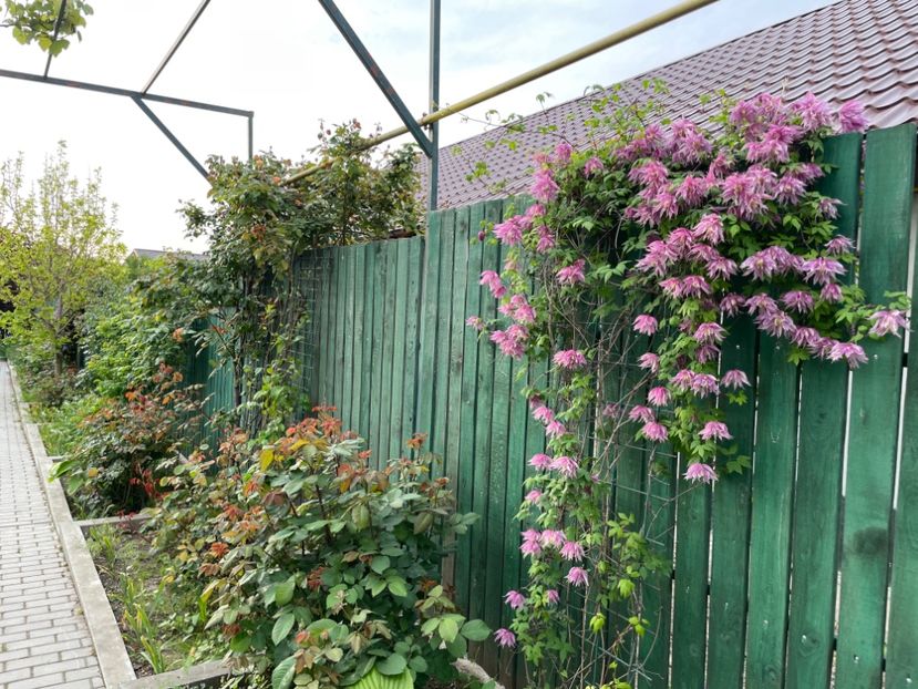 FFF4D5F1-89AD-4E4F-B162-B3A7DEBC9748 - 01 Primăvara 2023