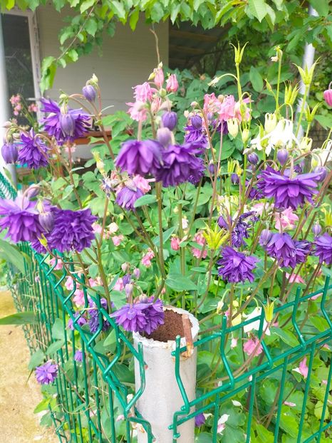 IMG20230519113906 - Mai 2023 vol 1