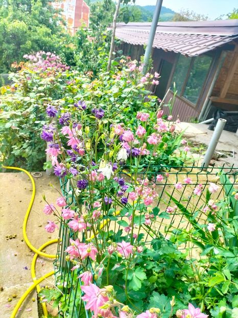 IMG20230519113546 - Mai 2023 vol 1