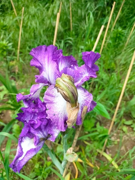 IMG20230519113443 - Mai 2023 vol 1