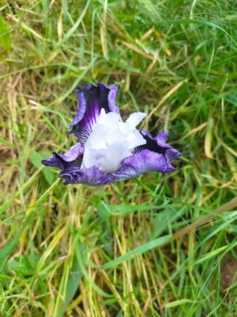 IMG20230519113429 - Mai 2023 vol 1