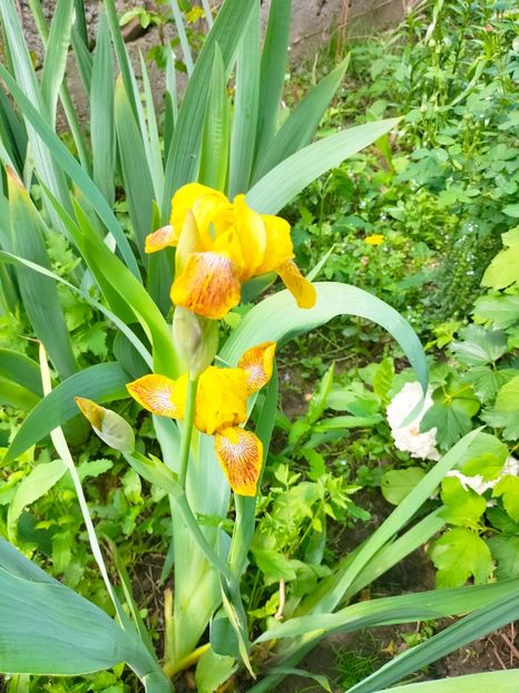 IMG20230519113004 - Mai 2023 vol 1