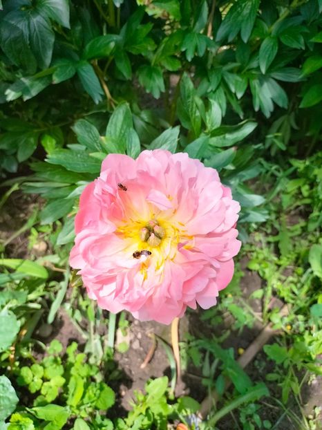 IMG20230519112759 - Mai 2023 vol 1