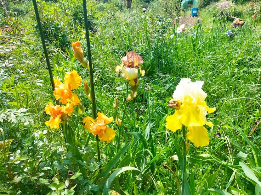 IMG20230519112725 - Mai 2023 vol 1