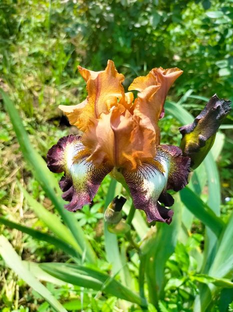 IMG20230519112449 - Mai 2023 vol 1