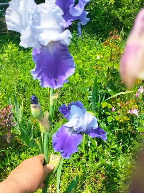 IMG20230519112426 - Mai 2023 vol 1