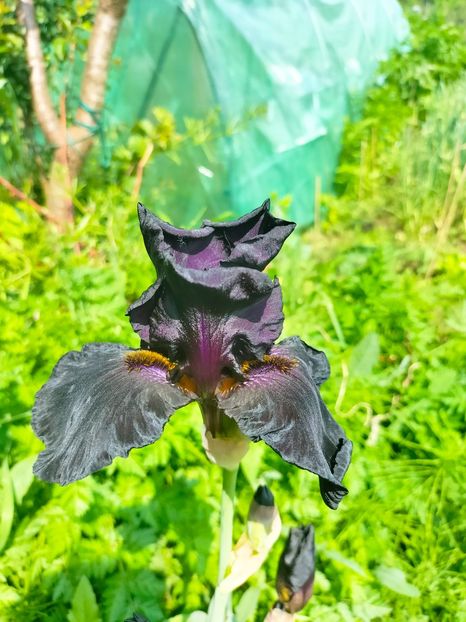 IMG20230519112215 - Mai 2023 vol 1