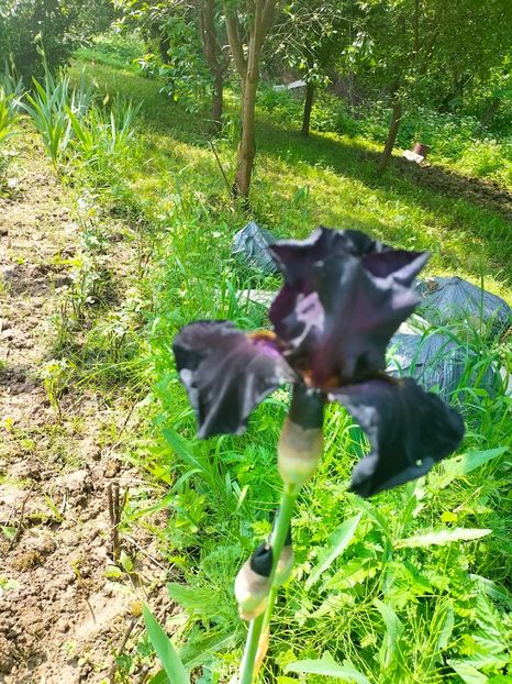 IMG20230519112159 - Mai 2023 vol 1