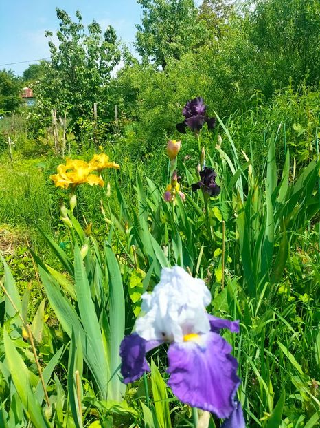 IMG20230519112130 - Mai 2023 vol 1