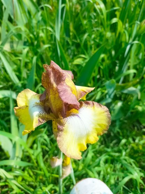 IMG20230519112057 - Mai 2023 vol 1