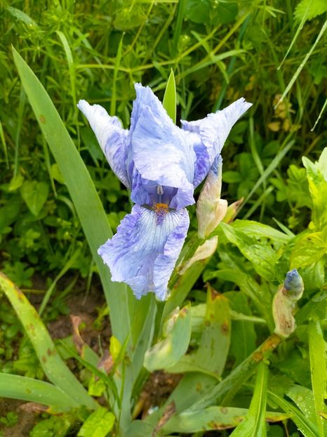 IMG20230519082741 - Mai 2023 vol 1