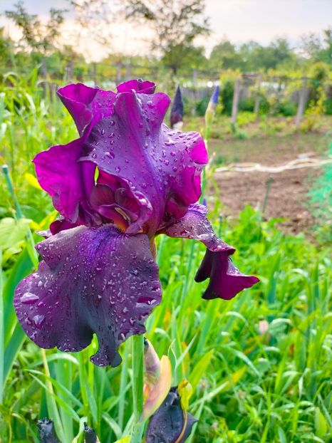 IMG20230519082723 - Mai 2023 vol 1