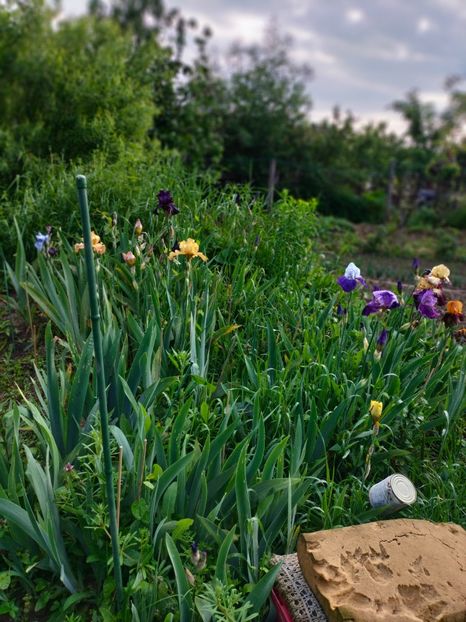 IMG20230519081943 - Mai 2023 vol 1