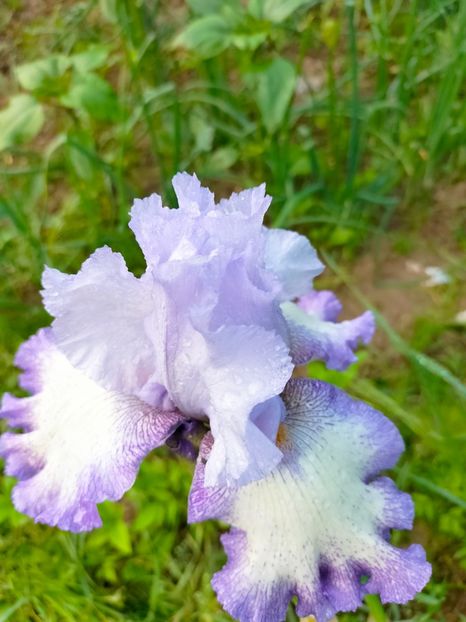 IMG20230519081516 - Mai 2023 vol 1