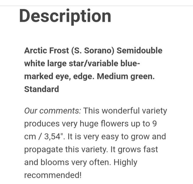  - Arctic Frost