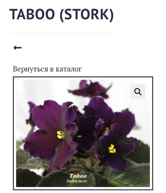 Poza net - Taboo -K Stork