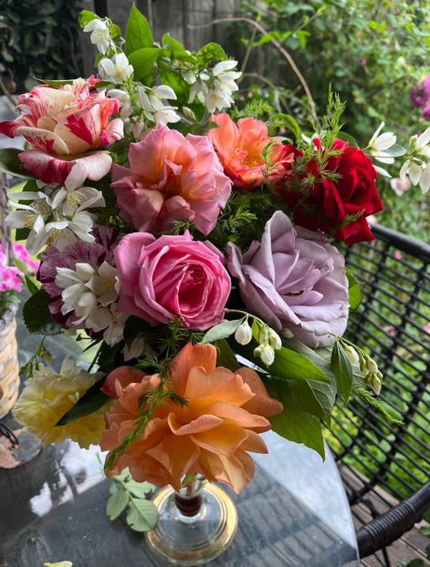 D6AA267F-9EE7-4B62-AA87-DC9C28F8F9C4 - Trandafiri 2023