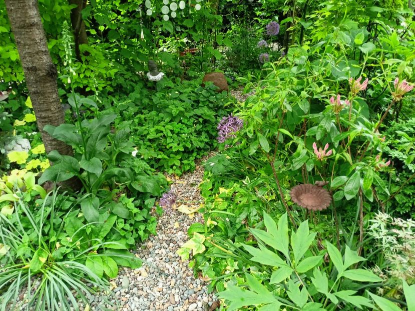  - Grădina 2023 continuare 2