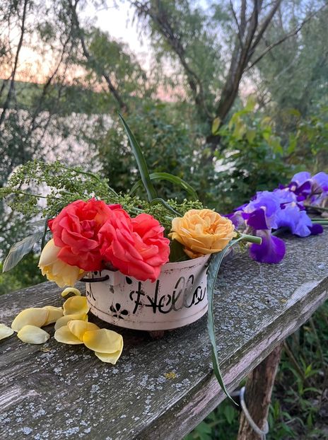 875AD098-E57D-49E2-85EE-4EA0B569F55B - Flori 2022 2023