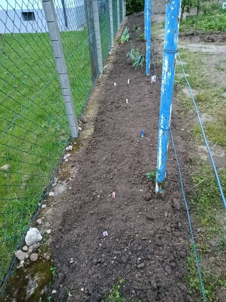 Img.2023.05.20 - A doua grădină