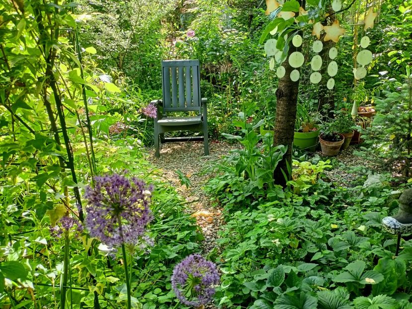  - Grădina 2023 continuare 2