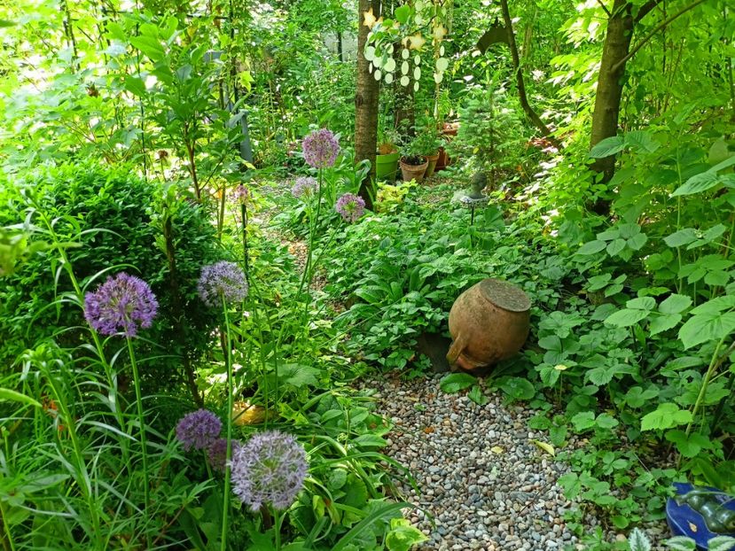  - Grădina 2023 continuare 2