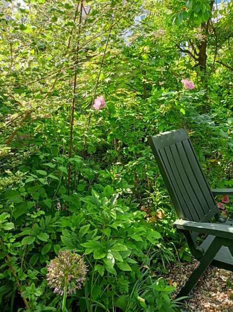  - Grădina 2023 continuare 2