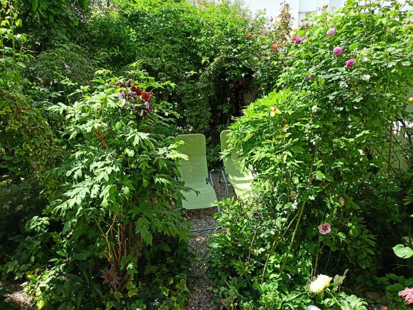  - Grădina 2023 continuare 2