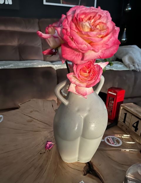 5EC28A6A-27CA-40E4-A903-7D31C57D4B18 - Trandafiri 2023