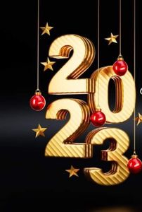  - Swan Lake 2021 - 2022- 2023 - 2024