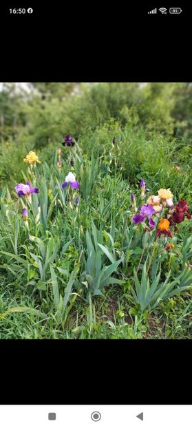 Screenshot_2023-05-19-16-50-01-450_com.facebook.katana - Mai 2023 vol 1