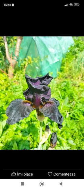 Screenshot_2023-05-19-16-48-34-814_com.facebook.katana - Mai 2023 vol 1