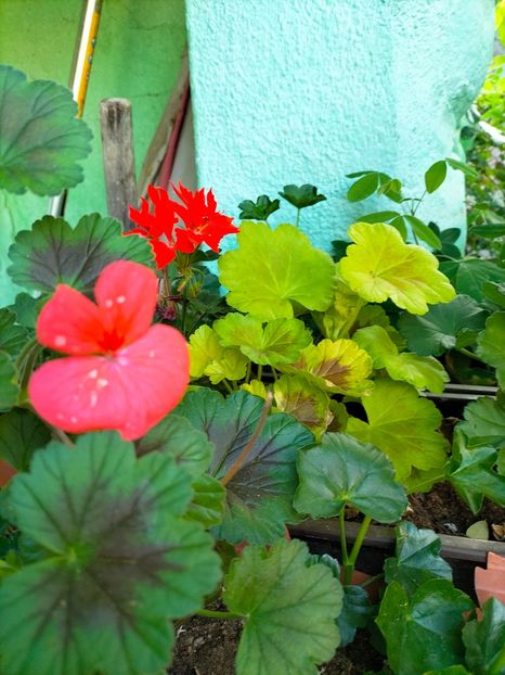 IMG20230521074456 - Mai 2023 vol 1