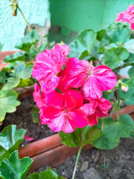 IMG20230521074445 - Mai 2023 vol 1