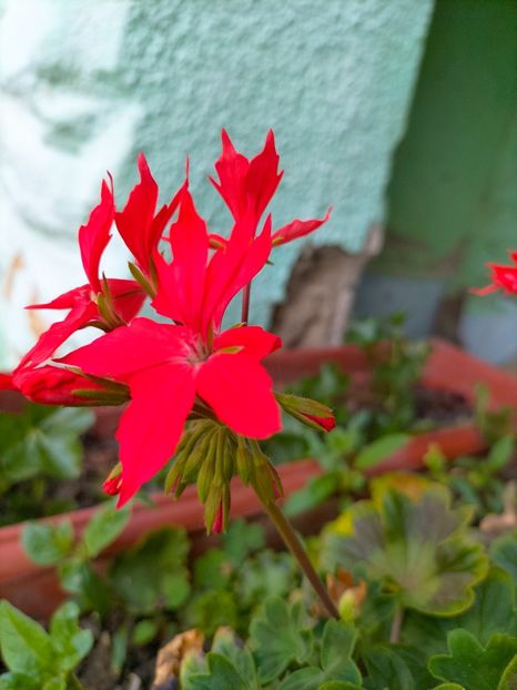 IMG20230521074439 - Mai 2023 vol 1