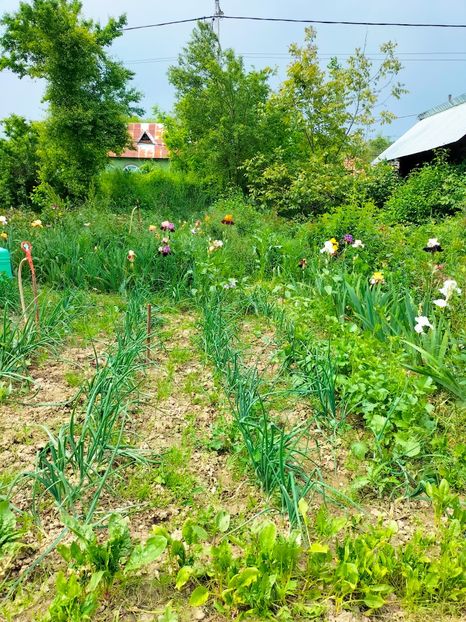 IMG20230520153659 - Mai 2023 vol 1