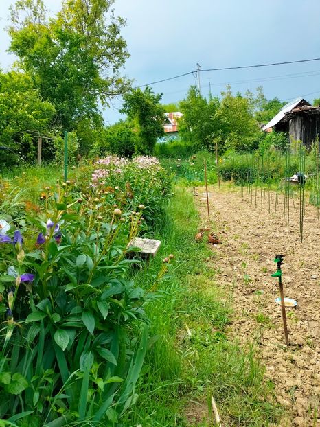 IMG20230520153601 - Mai 2023 vol 1