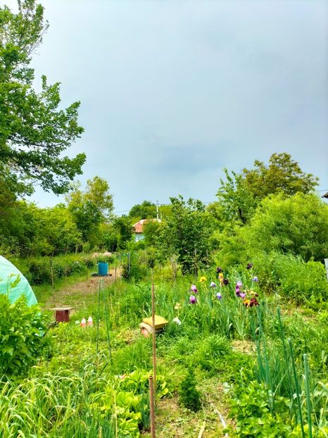 IMG20230520153505 - Mai 2023 vol 1