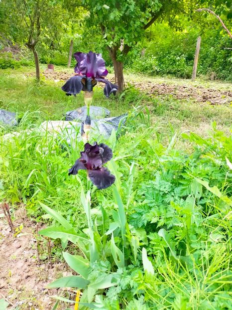 IMG20230520153449 - Mai 2023 vol 1