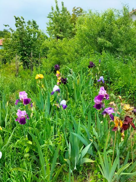 IMG20230520153423 - Mai 2023 vol 1