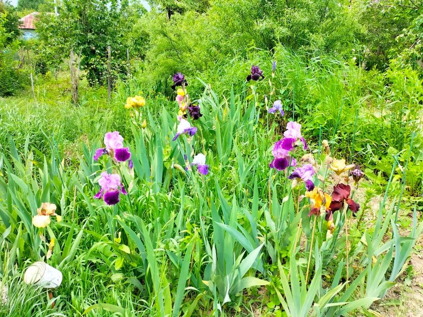 IMG20230520153419 - Mai 2023 vol 1