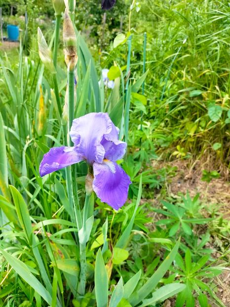 IMG20230520153400 - Mai 2023 vol 1