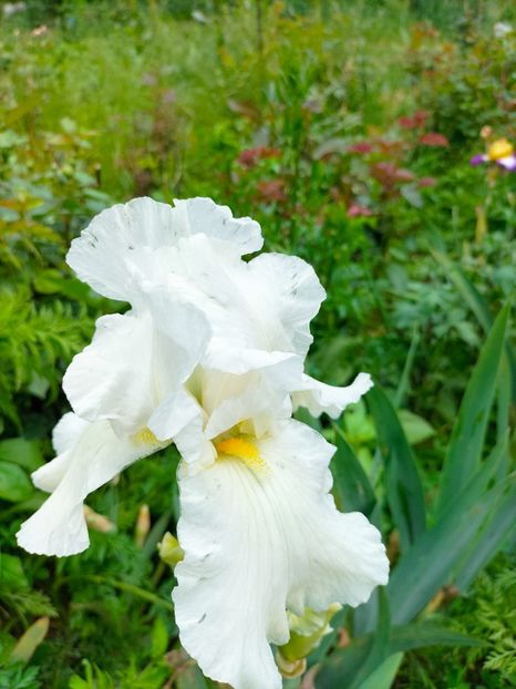 IMG20230520152914 - Mai 2023 vol 1