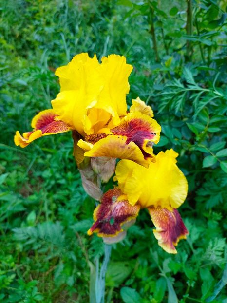 IMG20230520152905 - Mai 2023 vol 1