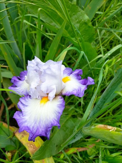 IMG20230520152849 - Mai 2023 vol 1