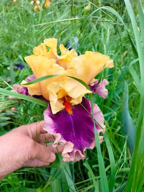 IMG20230520152819 - Mai 2023 vol 1