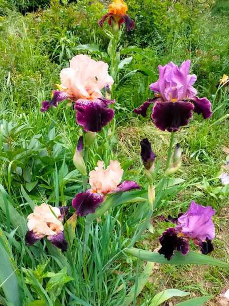 IMG20230520152808 - Mai 2023 vol 1