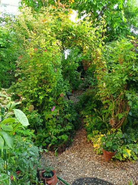  - Grădina 2023 continuare 2